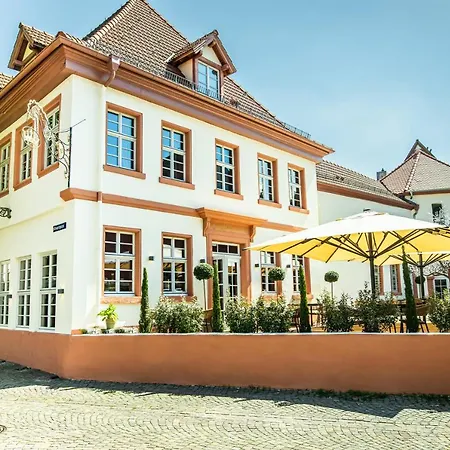 Szálloda The Boutique Dsignio