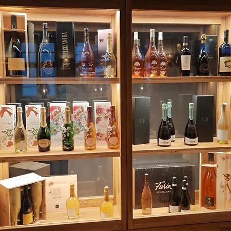The Boutique Dsignio Szálloda